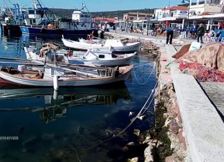 Cunda Deniz Deşarj