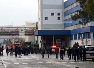 ZEYTİNYAĞI FABRİKASINDA YANGIN
