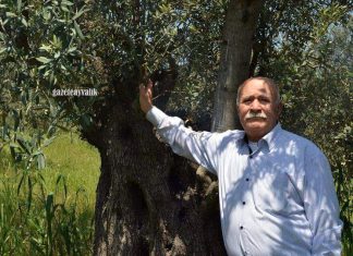 MERHUM BABALARINI ANDILAR