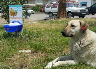 CAN DOSTLARA OTOMATİK SULUK