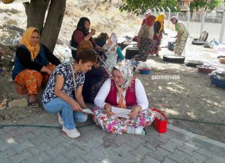 AYVALIK HEM ÖĞRETMENLERİ KIRSAL MAHALLELERDE ALAN TARAMASI YAPTI