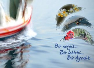 BİR NERGİS BİR LEBLEBİ BİR AYVALIK
