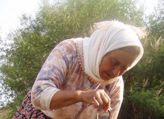 “AYVALIK’TA HAYAT BİTİYOR”