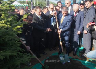 “CENNET KOYU’NDA AĞAÇLANDIRMA ÇALIŞMASI NEYE HİZMET EDİYOR?”