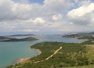 AYVALIK, 1. DOĞA FESTİVALİNE HAZIRLANIYOR