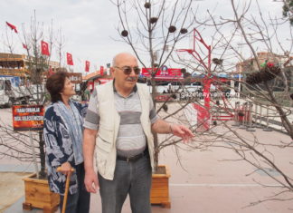 CENNET KOYU’NDA YANAN AĞAÇLAR, FARKINDALIK İÇİN SERGİLENDİ