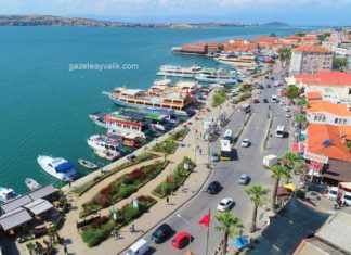 AYVALIK SAHİLİNDE ÇİÇEKLER AÇTI