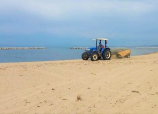 AYVALIK PLAJLARINDA KAPSAMLI TEMİZLİK