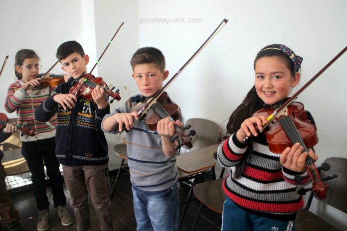 zeytin-cekirdek-ayvalik