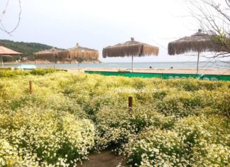 KESİN KORUNACAK HASSAS ALANLAR YAPILAŞMAYA AÇILDI