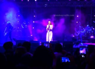 AYVALIK’TA, SOKAK HAYVANLARI İÇİN ÖRNEK FESTİVAL