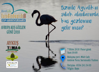 AYVALIK’TA KUŞ GÖZLEM GÜNÜ ETKİNLİĞİ