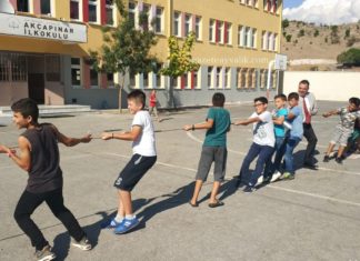 ZEYTİN ÇEKİRDEKLERİNE YAZ KAMPI