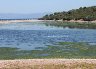 AYVALIK ADALARINDA SULAK ALAN ARAŞTIRMASI