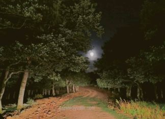 PARÇALI AY TUTULMASI VE DOĞA