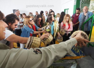 GELENEKSEL ZEYTİN HASAT ETKİNLİĞİ’NDE ‘BEREKET’ DİLEKLERİ