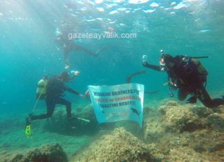 GÜNEY MARMARA’NIN SUALTI POTANSİYELİ DEĞERLENDİRİLDİ