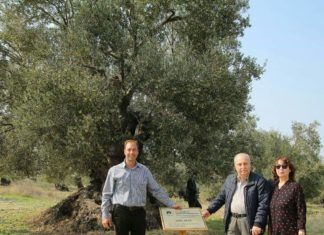 ZİYA ŞENSAL’I KAYBETTİK
