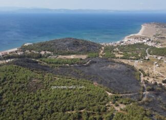 AYVALIK’TA 80 HEKTAR ORMANLIK ALAN YANDI