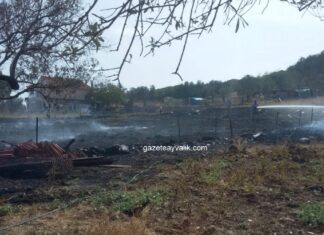 CUNDA’DA TARLA YANGINI