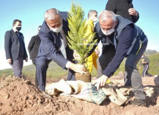 ÖĞRETMENLER GÜNÜ, TÖREN VE FİDAN DİKİMİ İLE KUTLANDI