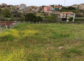 AYVALIK’TA TARIMSAL EĞİTİMİN GELİŞMESİ İÇİN HAMLE