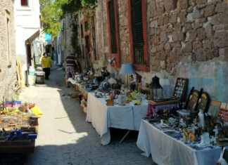 AYVALIK BİT PAZARI 14 YAŞINDA