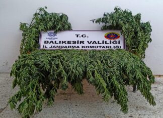 EVDE UYUŞTURUCU SERASI