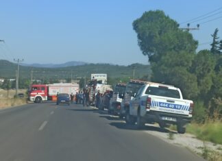 AYVALIK İZMİR ASFALTI KENARINDA YANGIN
