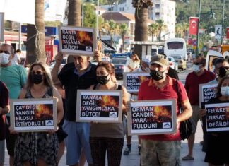 “ANAYASA’NIN 169. MADDESİ; BÜTÜN ORMANLARIN GÖZETİMİ DEVLETE AİTTİR. DER”