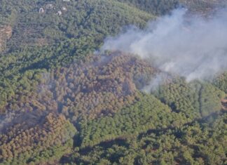 BALIKESİR’DE 2 GÜNDE ÇIKAN 2 YANGINDA 10 HEKTAR ORMANLIK ALAN ZARAR GÖRDÜ