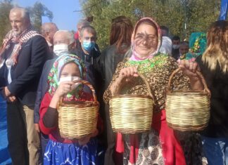 ZEYTİN HASAT FESTİVALİNDE 3. GÜN