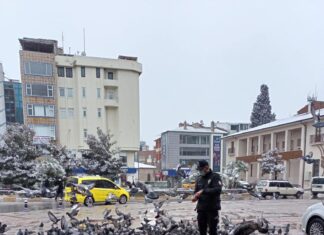 VALİ ŞILDAK’TAN SOKAKTA YAŞAM MÜCADELESİ VEREN HAYVANLAR İÇİN ÇAĞRI