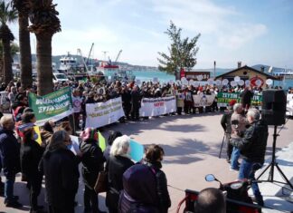 AYVALIK, “ZEYTİNİME DOKUNMA” DEDİ
