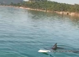 YUNUS, KÜREK SPORCULARI İLE OYNADI