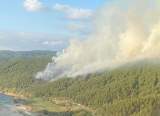 BALIKESİR’DE ORMAN YANGINI