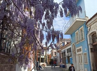 MOR SALKIM AYVALIK’A YAKIŞIYOR
