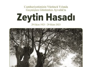AYVALIK’TA ZEYTİN HASADININ TARİHİ KİTAP OLDU