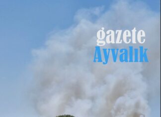 İZMİR -ÇANAKKALE YOLU ÜZERİNDE YANGIN ÇIKTI