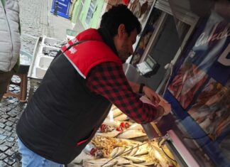 AYVALIK’TA SU ÜRÜNLERİ DENETİMİ