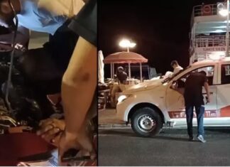 Otomobilin motoruna sıkışan yavru kediyi itfaiye ekipleri kurtardı