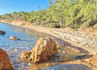 Cunda’da Üzücü Manzara: Ölü Deniz Kaplumbağası Kıyıya Vurdu