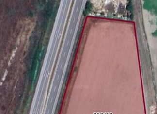 Kuzey Ege Zeytinyağı Lisanslı Depoculuk A.Ş. resmen kuruldu