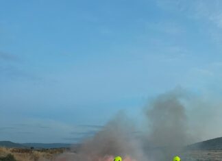 Balıkesir İtfaiyesi Alarmda: Bir Günde Sekiz Ot ve Arazi Yangını