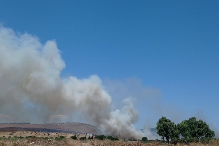 IMG-20260706-WA0005