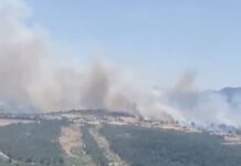 BALIKESİR ALEVLERLE MÜCADELE EDİYOR: ÜÇ İLÇEDEN PEŞ PEŞE YANGIN HABERİ!