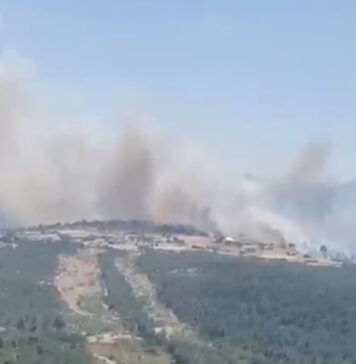 BALIKESİR ALEVLERLE MÜCADELE EDİYOR: ÜÇ İLÇEDEN PEŞ PEŞE YANGIN HABERİ!