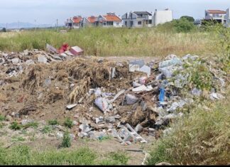 AYVALIK’TA EKOLOJİK TAHRİBATA KARŞI DENETİM: KARAKOÇ DERESİ’NDE İNCELEME BAŞLATILDI