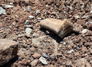 Cunda’daki Tartışmalı Alana İlişkin Geri Adım ve “Sorgulanamaz Hassasiyet” Vurgusu: Belediye Açıklaması Yeni Soru İşaretleri Doğurdu