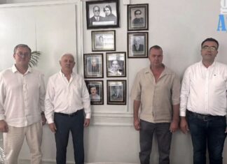 Kızılay’da Zeytinlik Krizi: 55 Dönüm Vakıf zeytinliği bina yenilemek için Satılıyor, Ayvalık’ta Yönetim İstifa Etti